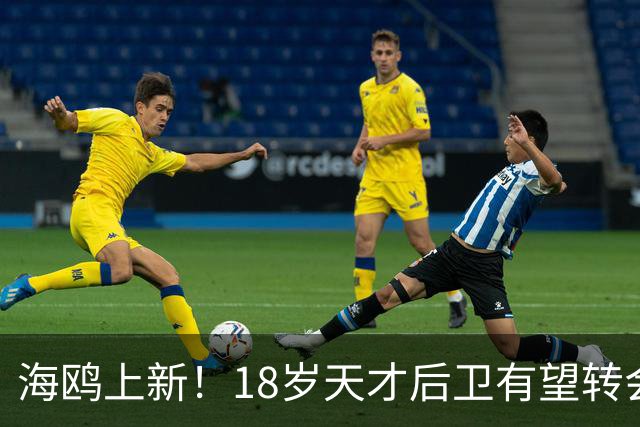 海鸥上新！18岁天才后卫有望转会英格兰，天赋顶级布莱顿要买